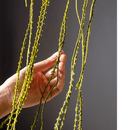 Artificial Vine Hanging Thin Succulent Stem