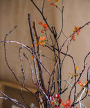 Ikebana Twig Branch