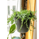 Modern Resin Hanging Planter for Artificial Plants