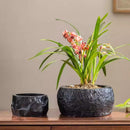 Mesa Cement Pot Planter