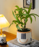 Mini Faux Potted Green Plant