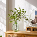 Green Nandina Leaf Stem