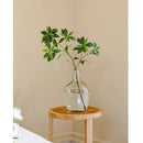 Faux Pieris Branch Stem