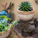 Rattan Pattern Edge Cement Planter