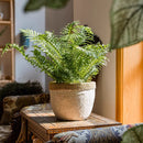 Rattan Pattern Edge Cement Planter