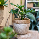 Rattan Pattern Edge Cement Planter
