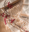 Rustic Artificial Red Berry Vine 63" Long