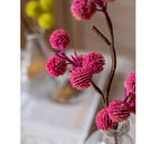 Artificial Ricinus Stem in Pink 15" Tall