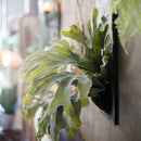 Artificial Faux Fern Madagascar Staghorn Wood Board Hanging