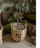 Natural Straw Round Basket with Handles