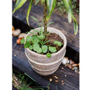 Tasha Red Terracotta Planter