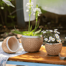 Woven Rattan Cement Planter