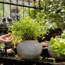 Yukun Terracotta Planter Pot
