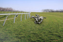 Jockey Lapel Pin