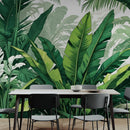 Rainforest Jungle Wallpaper. Banana Leaf Wall Mural.
