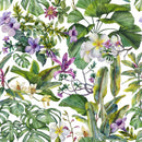 Green Exotic Plants and Flowers Wallpaper