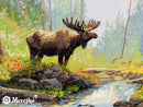 Woodland Morning K-245 Counted Cross Stitch Kit