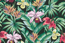 Tropical Flowers and Plants Wallpaper