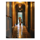 Tiger in the Hallway Glass Wall Art – Surreal Wildlife Encounter UV Print-KAFCD043