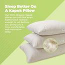 Organic Kapok Sleep Bed Pillows with 100% Organic Cotton Fabric - Plant Based Vegan