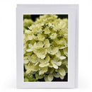 White Greeting Card | Multiple Designs | KJ Made