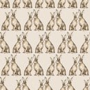 Hares Wallpaper