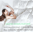 Kasentex Ultra Soft Green Piped Edge Warm Heavy Weights Down Comforter, White, Room Decor, Graduation Gifts