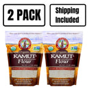Organic Kamut Khorasan Wheat Flour | 1.5 lb | Pack of 2 | Non-GMO | Shipping Included | Grain Place Foods