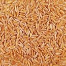 Organic Kamut Khorasan Wheat | 25 lb | Non-GMO | Shipping Included | Grain Place Foods