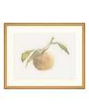 Pastel Orange I