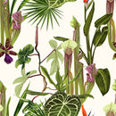 Exotic Green Plants Wallpaper