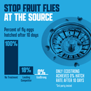 Drain and Fruit Fly Eliminator
