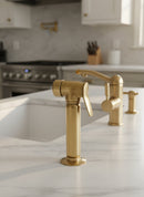 Kitchen Unlacquered Brass Hand Sprayer