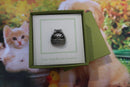 Kittens in a Basket Lapel Pin