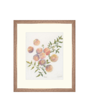 Pastel Peaches