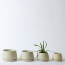 The Rancho Planter