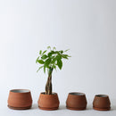 The Rancho Planter