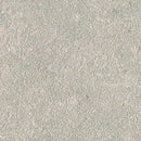 Seagrass Sandblast Limestone Pool Coping - MSI Collection