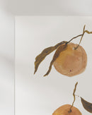 Oranges II