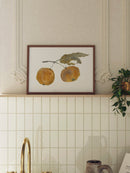 Oranges