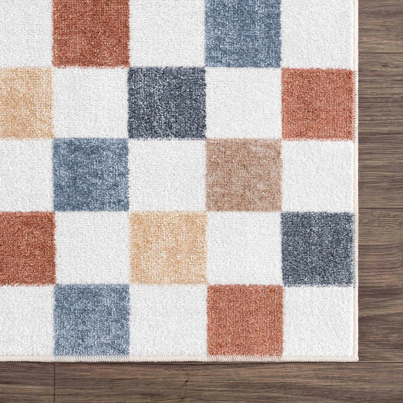 Alie Colorful Checkered Washable Rug