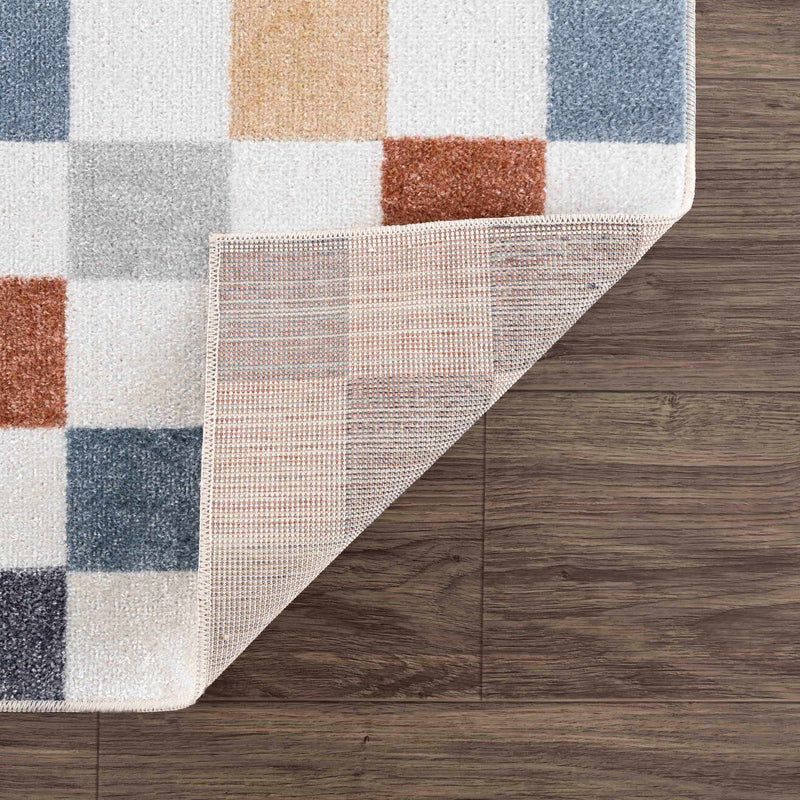 Alie Colorful Checkered Washable Rug