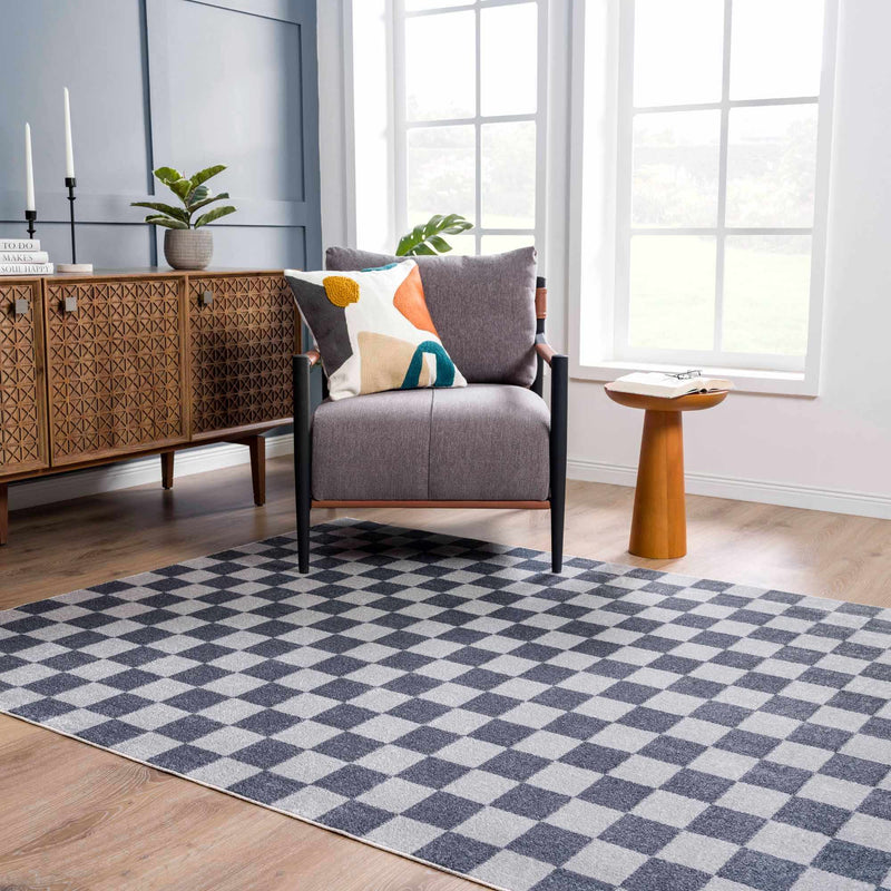 Alie Gray Checkered Washable Area Rug