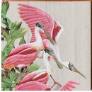 Spoonbill Bird Wooden Sign | Wall Art Print on Real Wood | Art Lamay