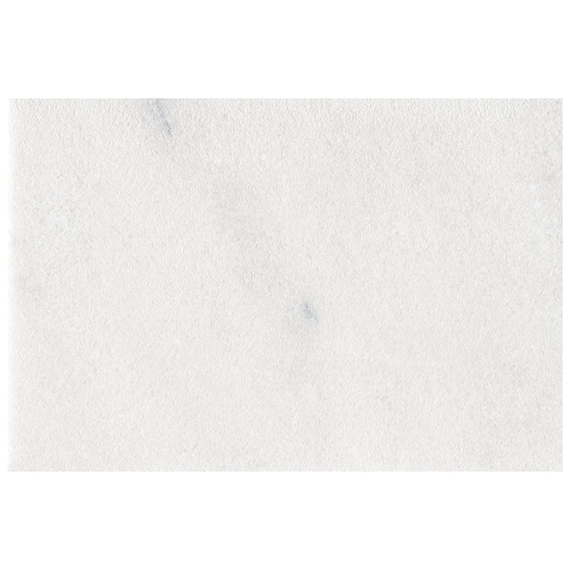 Sierra White 16"x24" Sandblast Marble Paver - MSI Collection wall view