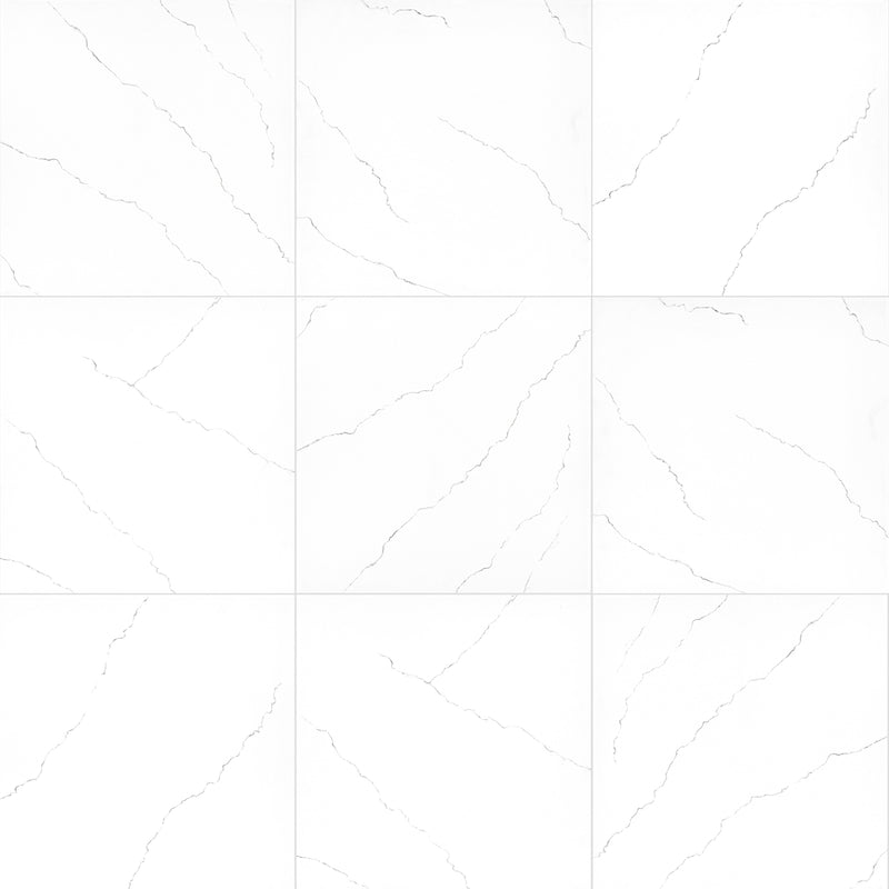 Miraggio Gray 24''x24'' Matte Porcelain Paver Floor Tile - MSI Collection product shot wall view 2