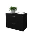 2 Drawer Lateral File Cabinet
