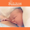 Let There Be Milk! ALCOHOL FREE Supplement for Breastfeeding 2 oz.