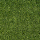 Close-up of green grass texture LTRFPEME6X8-38MM81OZ