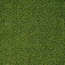 Close-up of green artificial grass texture - LTRFPEME7.5X10-28MM56OZ
